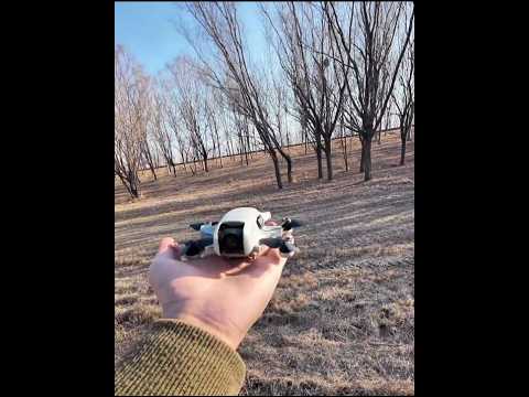 Most illegal-looking DJI Neo ever 😹🚁 #dji #drone #shorts #shortsfeed #foryou #youtube #viralshorts